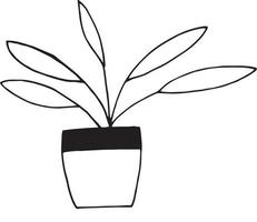 bloem in een pot icoon. schets hand getrokken doodle stijl. , minimalisme, zwart-wit. kamerplant, binnentuinieren vector