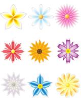 icon set van bloemen voor ontwerp vector