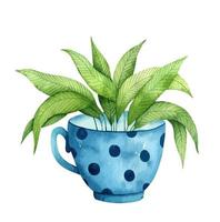 schattige blauwe mok met een groene plant binnen geïsoleerd op een witte achtergrond. aquarel handgetekende illustratie. perfect voor uw project, prints, kaarten, covers, posters, decoraties, patronen, uitnodigingen. vector