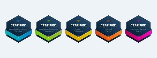 professionele financiële certificering badge ontwerpsjabloon. gecertificeerd bedrijfsonderzoekslogo op criteria. vector