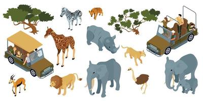 isometrische safari icon set vector