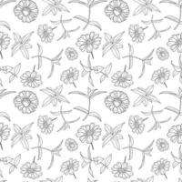 vintage bloemen naadloos patroon in hand getrokken stijl vector