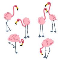 handgetekende roze flamingo-collectie. vector