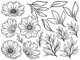 bloem lijntekeningen arrangement vector