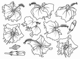 bloemen lijntekeningen arrangement vector