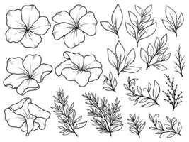 bloem lijntekeningen arrangement vector