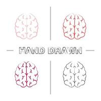 menselijk brein hand getrokken pictogrammen instellen. zenuwstelsel orgaan. kleur penseelstreek. geïsoleerde vector schetsmatige illustraties