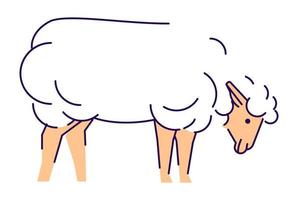 witte schapen zijaanzicht platte vectorillustratie. veehouderij, veehouderij ontwerpelement met omtrek. merino ooi geïsoleerd op een witte achtergrond. lamsvlees, schapenwol productie logo vector