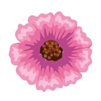 geïsoleerde roze bloem vector