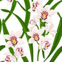 cymbidium. tropische zomer naadloze patroon met bloemen en bladeren van exotische orchidee. voorraad vectorillustratie op een witte achtergrond. vector