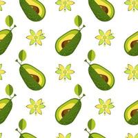 avocado. naadloze patroon op geïsoleerde witte achtergrond. voorraad vectorillustratie. vector