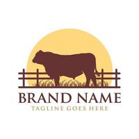 logo ontwerp angus koe op gras en zon vector