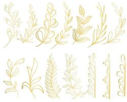 set van gouden lommerrijke botanische takje geïsoleerde vectorillustratie vector