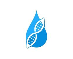 waterdruppel met dna-symbool erin vector