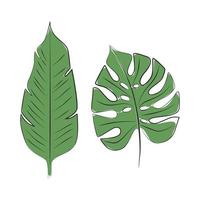 bananenblad en monstera schets vector