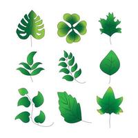 groen verloop blad pictogram vector pack set