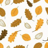 herfst bomen patroon. blad vallen naadloze achtergrond. gestileerde bladeren van eiken, beuken, berken. veelzijdig ontwerp voor stof, digitaal papier, scrapbooking. vector hand getekende illustratie