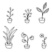 set hand getrokken doodle bloemen in potten, huisplanten. vector