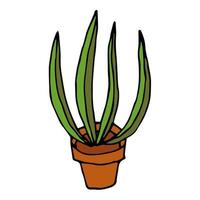 cartoon plant in pot geïsoleerd op een witte achtergrond. huisbloem in doodle-stijl. vector