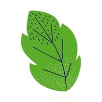 bladplant groen vector