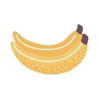 verse bananen fruit vector