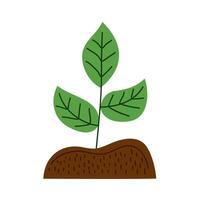 plant natuur icoon vector