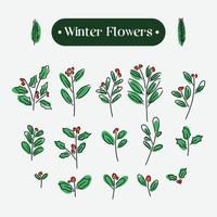 set verzameling handtekening winterbloemen, hulst, maretak, sparren, poinsettia vector
