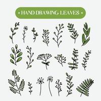 set collectie handgetekende botanische groene bladeren vector