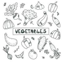 schattige zwarte lijn doodle set over groenten, wortel, knoflook, ui, pompoen, courgette, biet, paprika, tomaat, komkommer. veganistisch eten. oogst vector