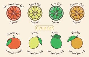 kleurrijke citrus pictogramserie. grapefruit, limoen, citroen, sinaasappel. heel en gesneden fruit. biologische citrusolie voor natuurlijke cosmetica en voeding. doodle platte vectorillustratie vector