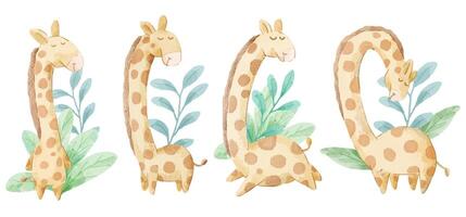 vectorillustratie aquarel set van schattige giraffe voor uw ontwerp. vector
