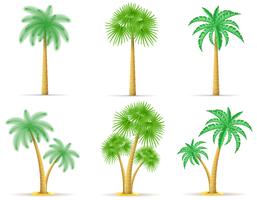 palmboom vectorillustratie vector