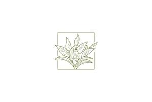 vintage minimalistische elegante groene thee bladeren logo ontwerp vector