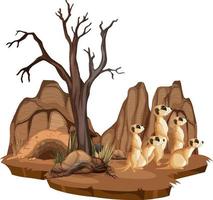 geïsoleerde natuurscène met meerkatfamilie vector