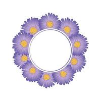 paarse aster, madeliefje bloem banner krans vector