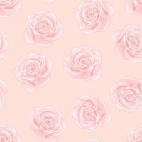 roze roos - rosa op roze achtergrond. vector