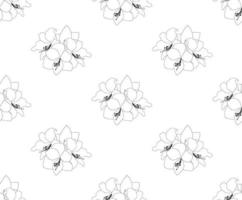 amaryllis naadloos op witte achtergrond vector