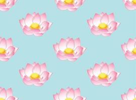 roze Indiase lotus op lichtblauwe achtergrond vector