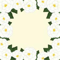 witte camellia bloem frame border.vector afbeelding. vector