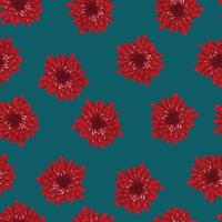 rode chrysant op indigo blauwe achtergrond. vector