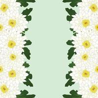 witte moeder, chrysant bloemenrand vector