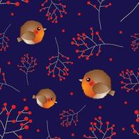 rode robin vogel en bes op marineblauwe achtergrond vector