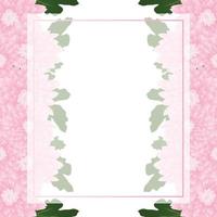 roze mama, chrysanthemum bloem banner kaartrand vector