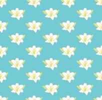 witte leliebloem op pastelblauwe achtergrond vector