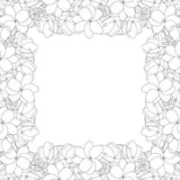 Arabische jasmijn omtrekrand op witte achtergrond vector