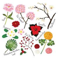 bloem set 4. flora vector collectie.