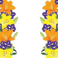 geeloranje lelie en blauwe iris bloemenrand op witte achtergrond vector