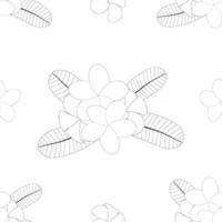 Plumeria op witte achtergrond vector