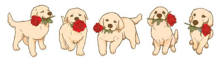 cartoon speelse golden retriever pup met rode roze bloem in de mond, mooie hond verliefd vector