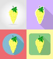 druiven fruit platte set pictogrammen met de schaduw vectorillustratie vector